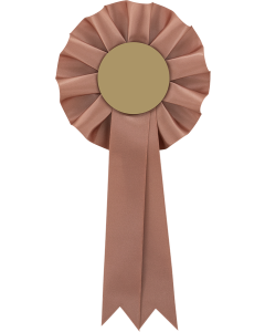 Stick horse Rosette