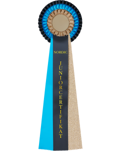Nordic Juniorcertifikat